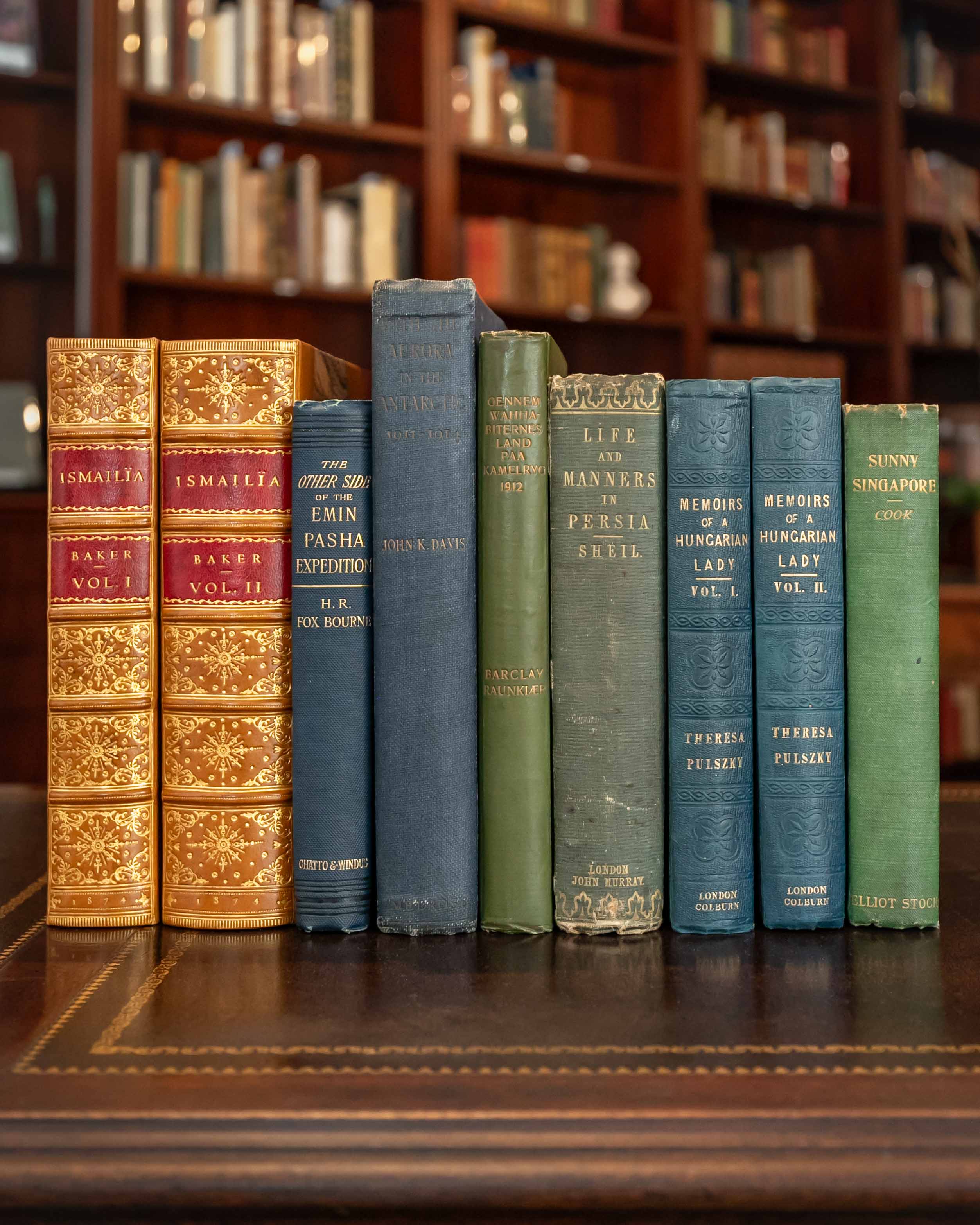 New Arrivals: Travel and Exploration