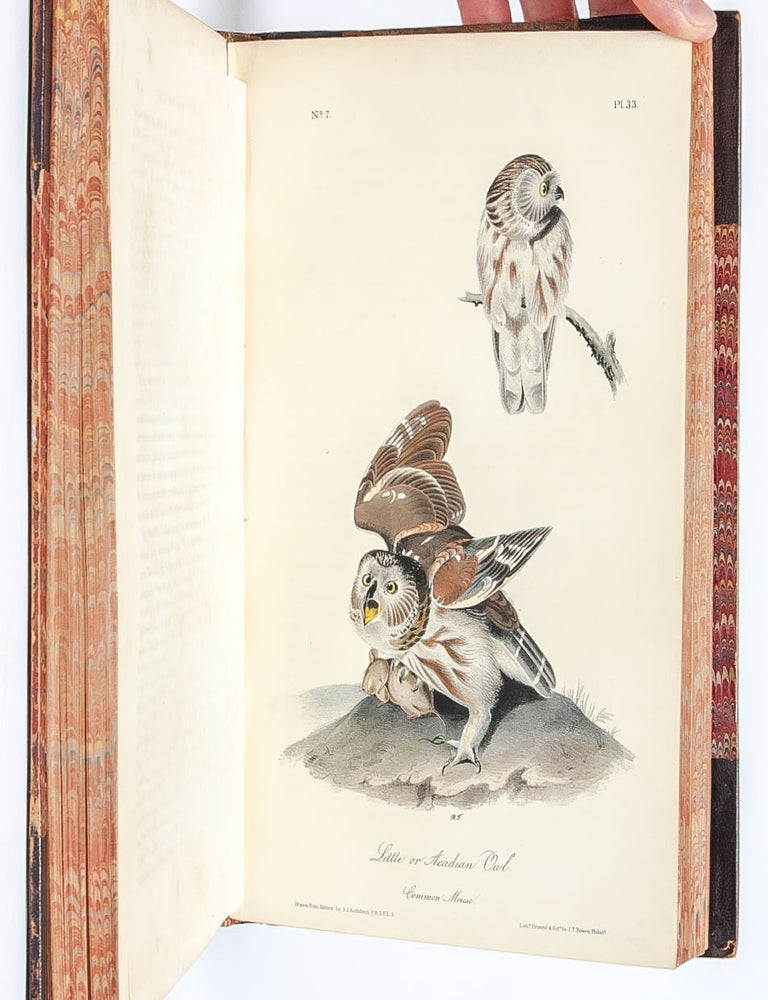 The Birds of America, From Drawings Made in the United States and Their Territories.