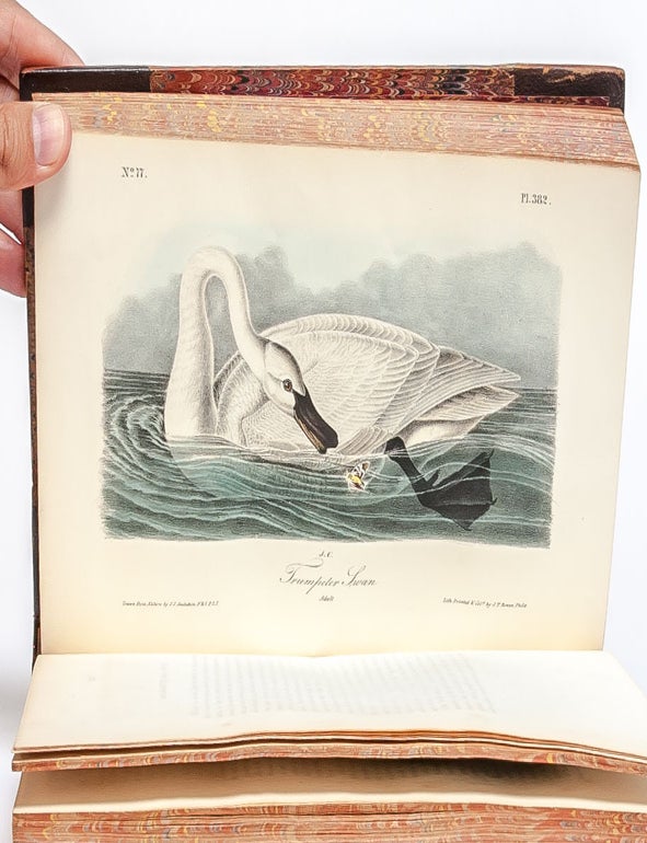 The Birds of America, From Drawings Made in the United States and Their Territories.