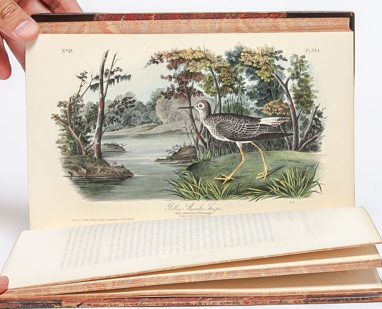 The Birds of America, From Drawings Made in the United States and Their Territories.