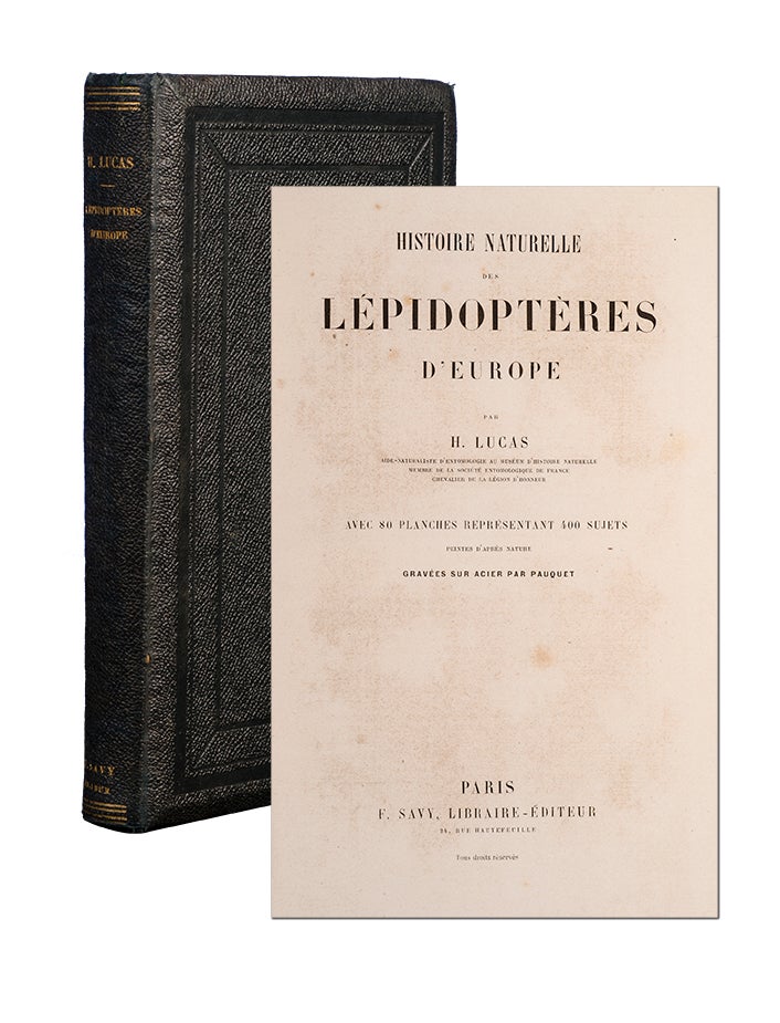 Histoire Naturelle des Lepidopteres d'Europe par H. Lucas. H. Lucas.