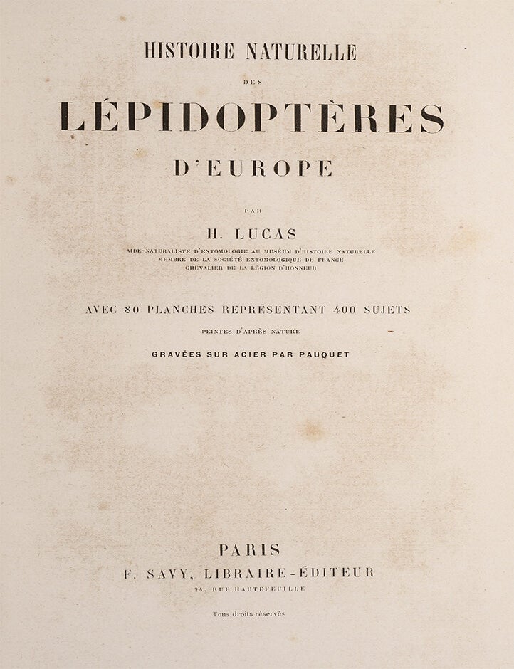 Histoire Naturelle des Lepidopteres d'Europe par H. Lucas