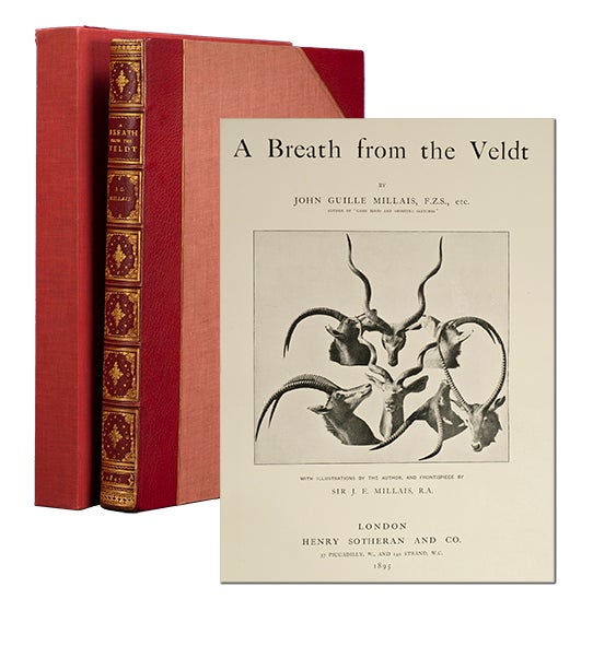 (Item #3679) A Breath from the Veldt. John Guille Millais.