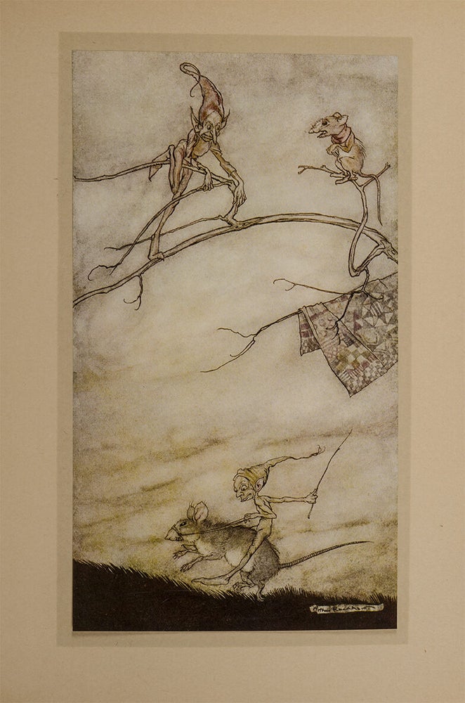 Arthur Rackham's Book of Pictures