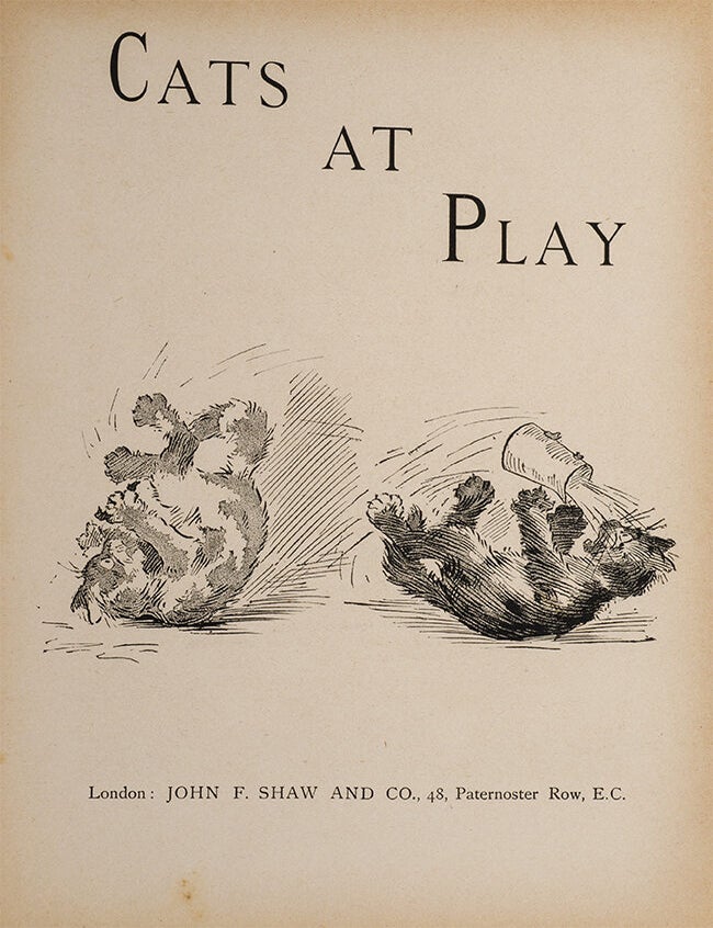 Cats at Play