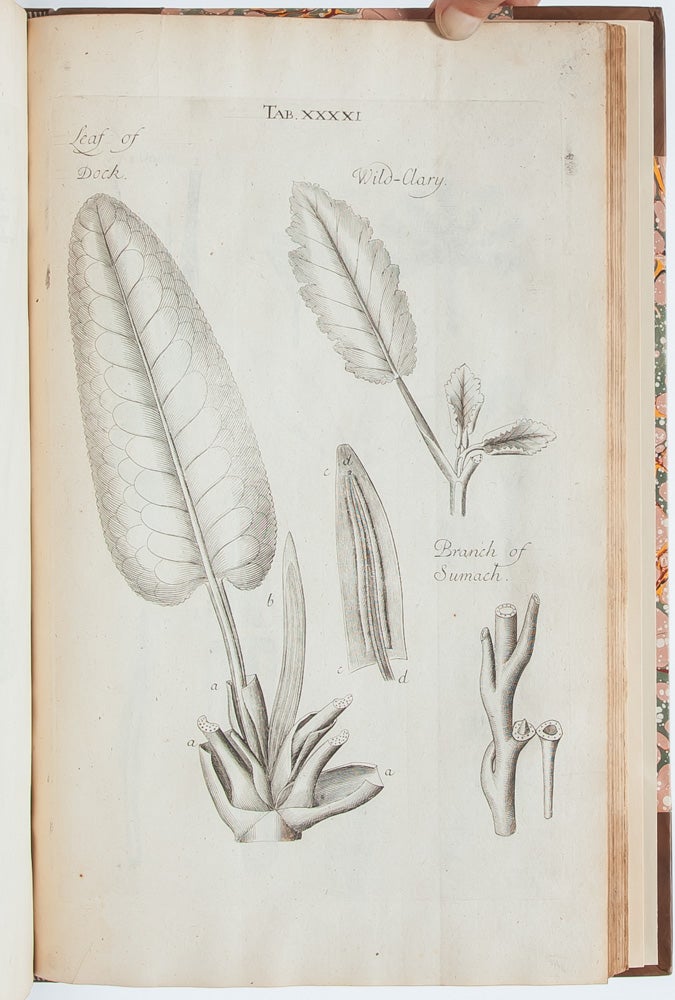 The Anatomy of Plants. With an Idea of a Philosophical History of Plants, and Several Other Lectures Read Before the Royal Society