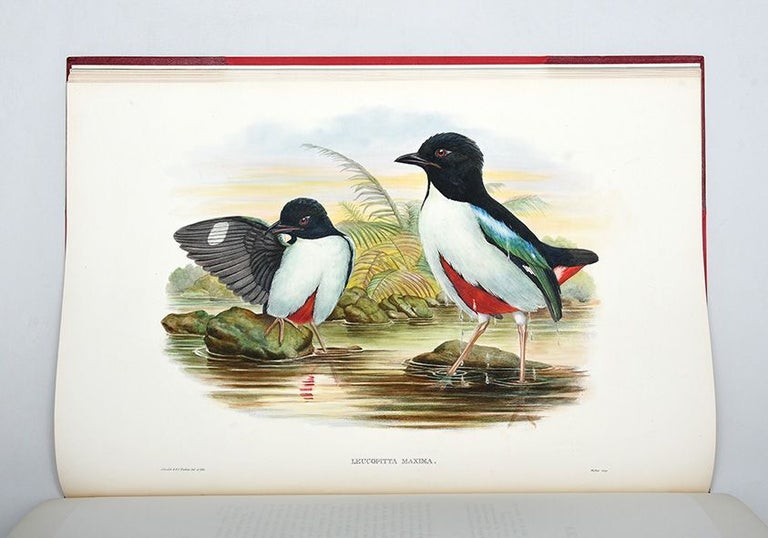 Monograph of the Pittidae
