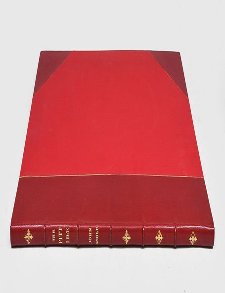 Monograph of the Pittidae
