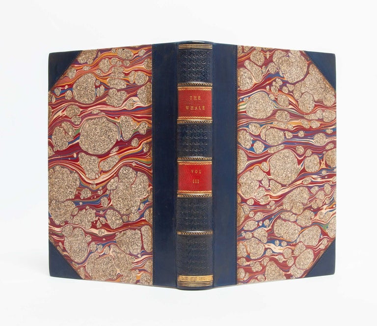The Whale; or, Moby Dick (in 3 vols.)