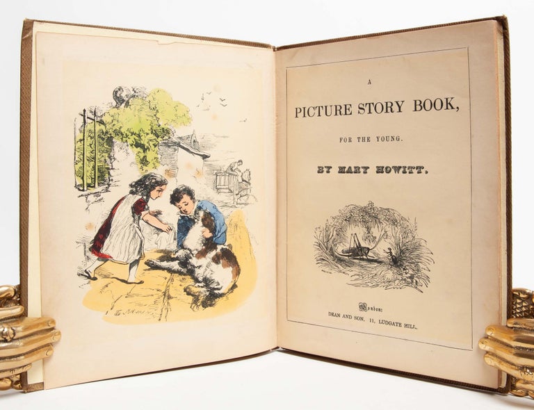 A Picture Story Book for the Young