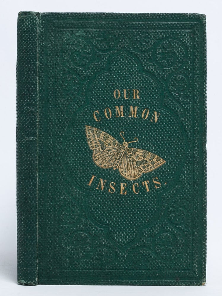 Item #6131) Our Common Insects. First Steps in Entomology. Rosalinda Alicia Cox, Mrs. E. W. Cox