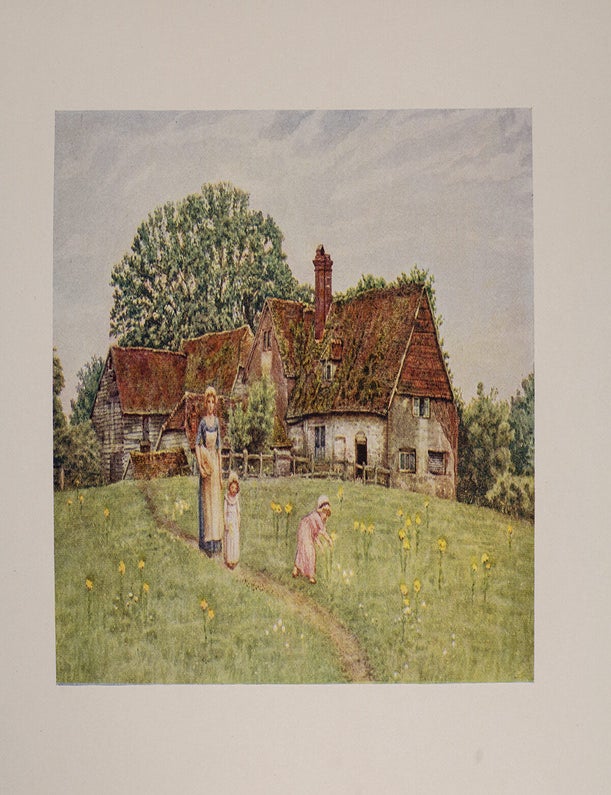Kate Greenaway (Signed limited with original artwork)