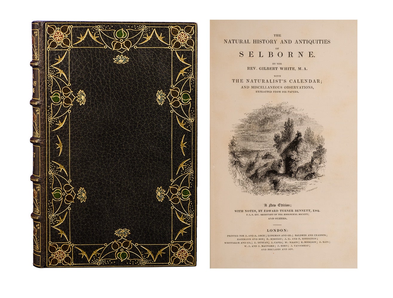 (Item #6317) The Natural History and Antiquities of Selborne. Fine Binding - Kelliegram, Gilbert White.