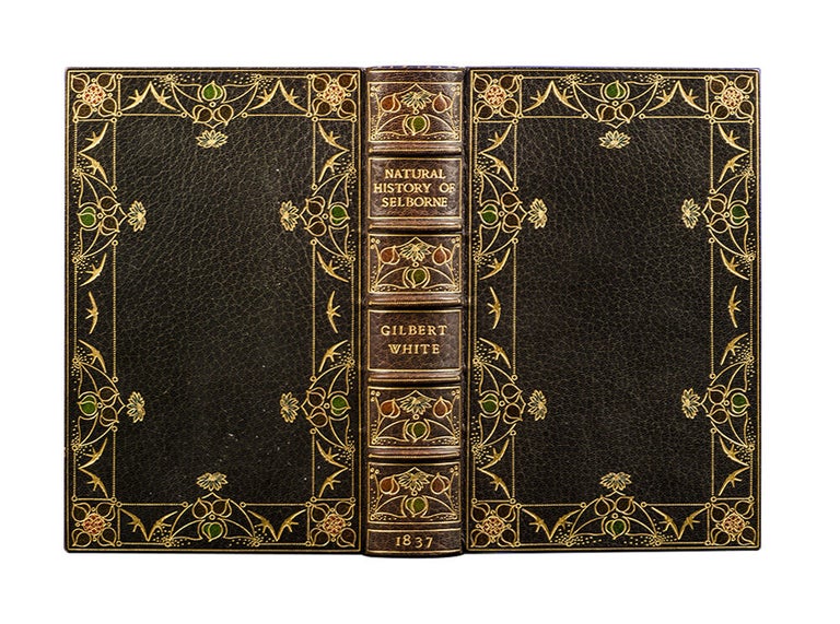 The Natural History and Antiquities of Selborne