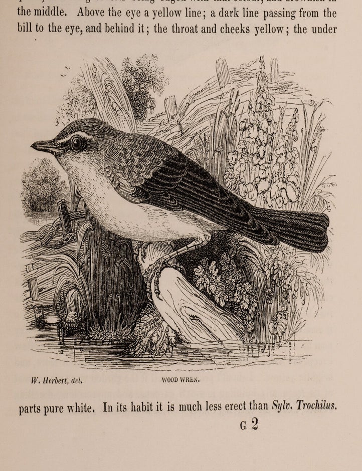 The Natural History and Antiquities of Selborne