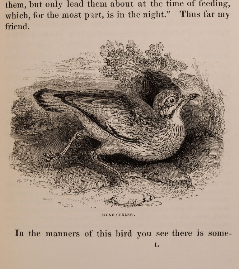 The Natural History and Antiquities of Selborne