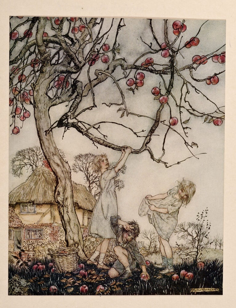 A Dish of Apples (Signed limited edition)