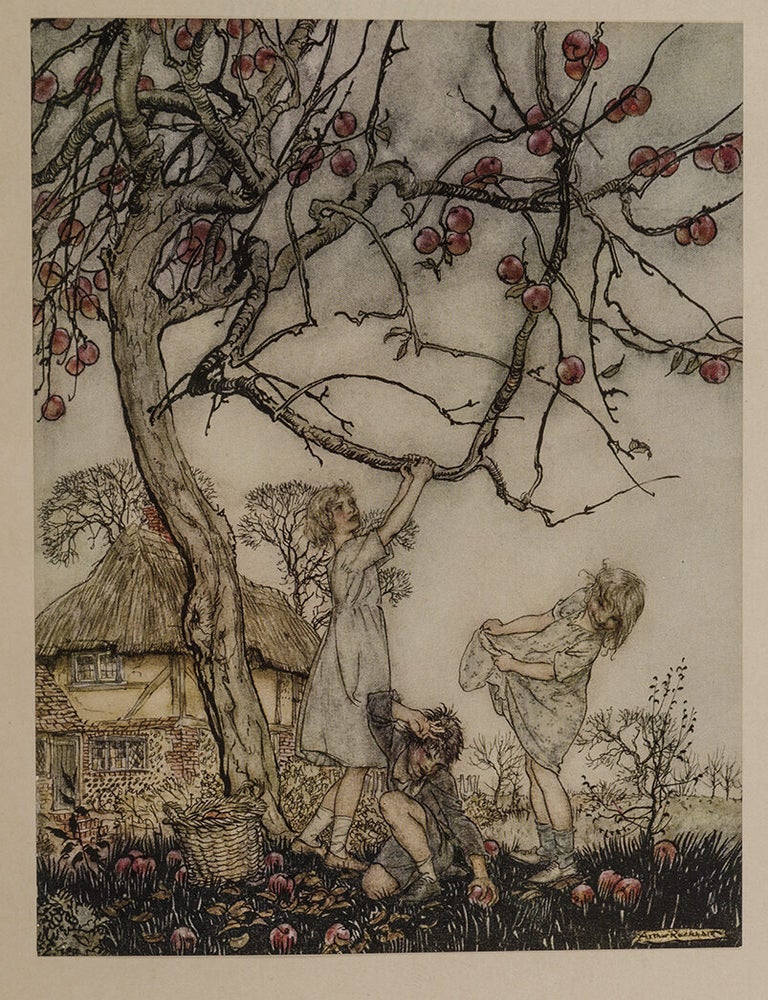 A Dish of Apples (Signed limited edition)