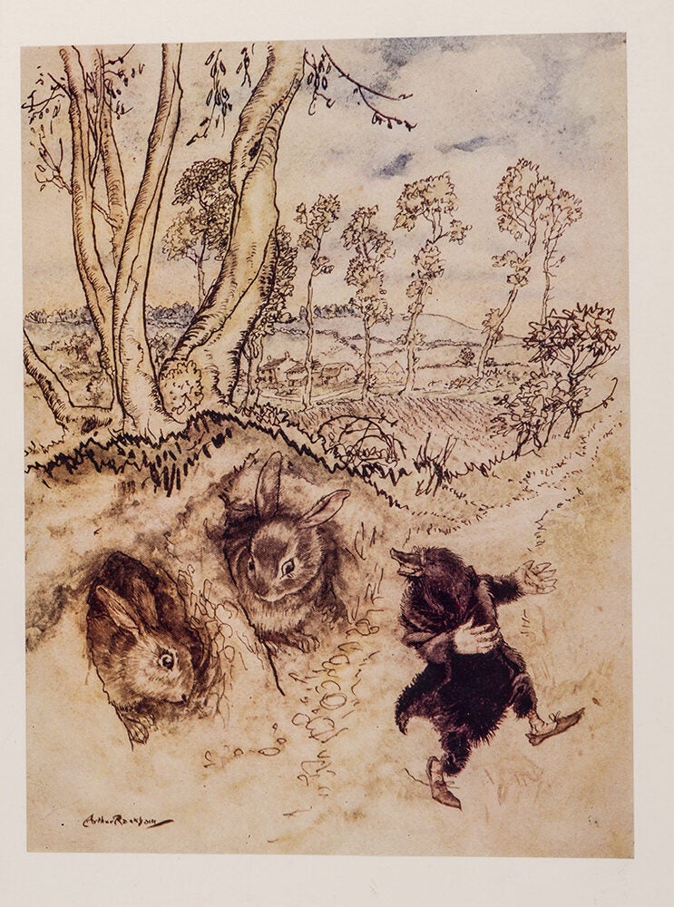 The Wind in the Willows (Limited edition)