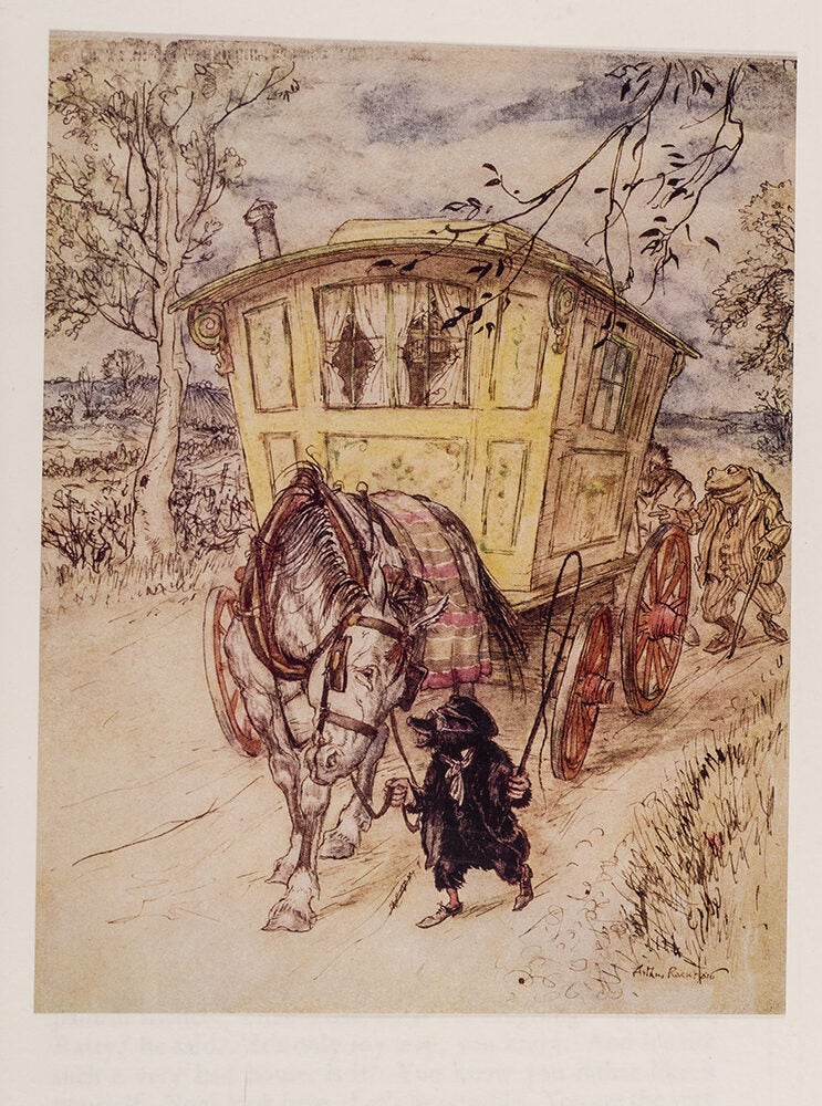 The Wind in the Willows (Limited edition)