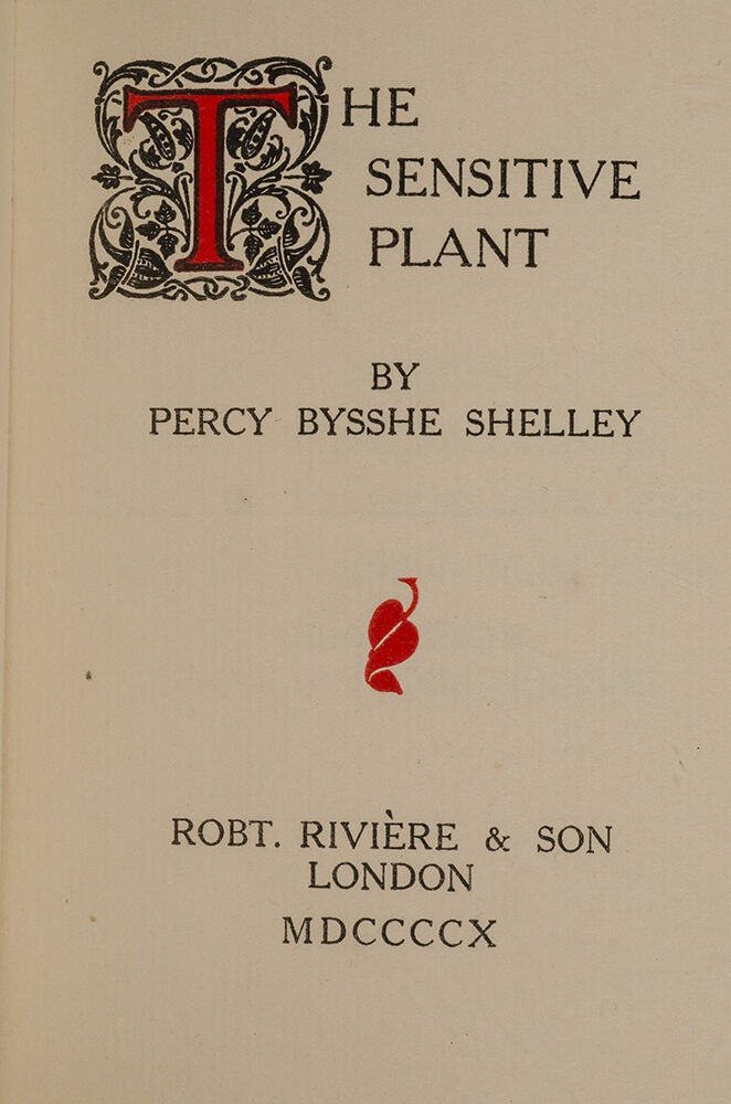 The Sensitive Plant