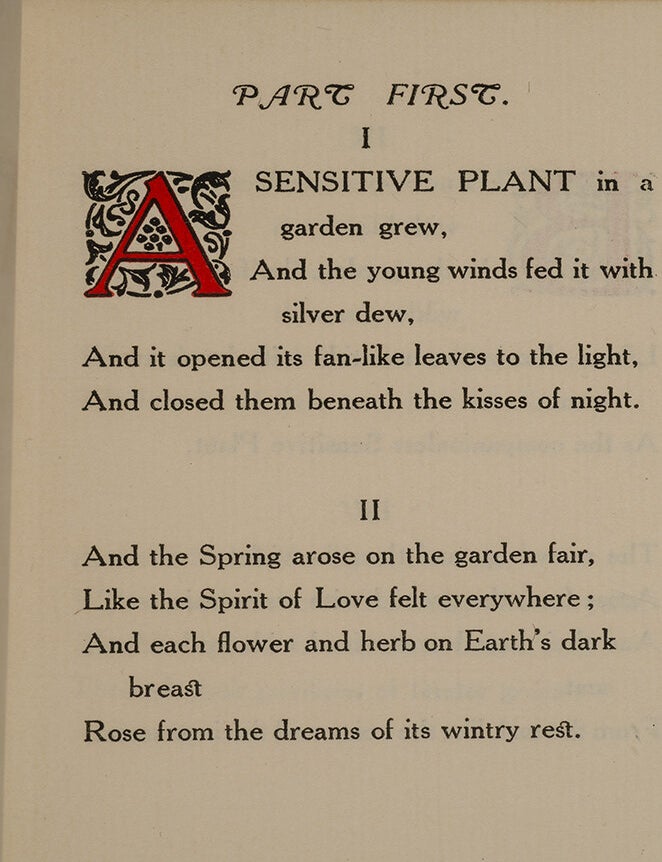 The Sensitive Plant
