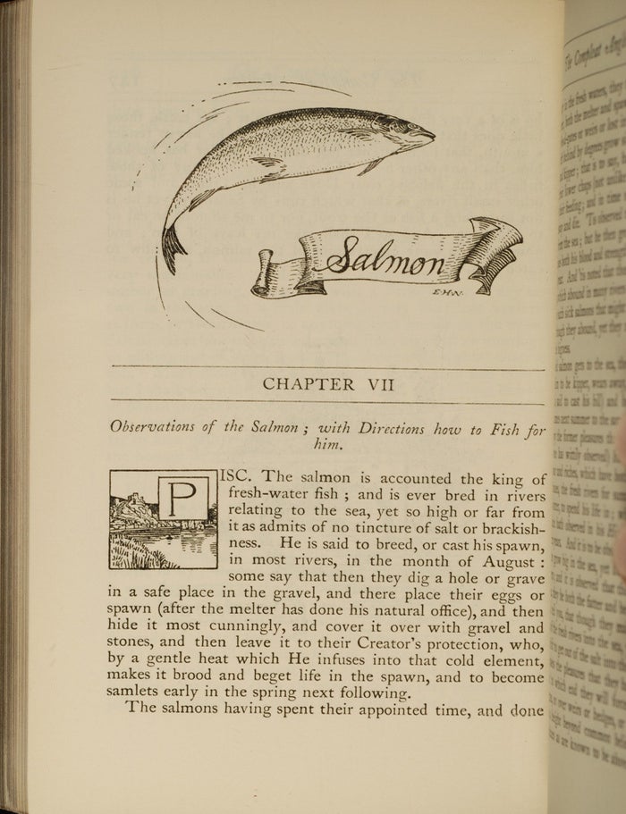 The Compleat Angler