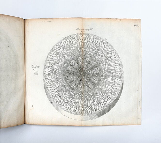 The Anatomy of Plants. With an Idea of a Philosophical History of Plants, and Several Other Lectures Read Before the Royal Society