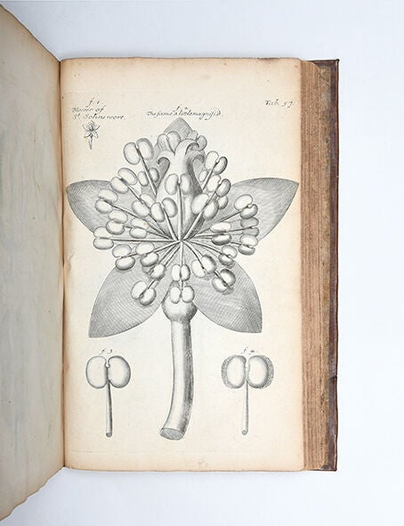 The Anatomy of Plants. With an Idea of a Philosophical History of Plants, and Several Other Lectures Read Before the Royal Society